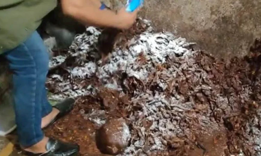 Two pickle factories penalized for unhygienic practices in Ctg