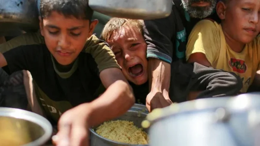 UN Food Agency Warns Gaza at ‘Breaking Point’ After Visit