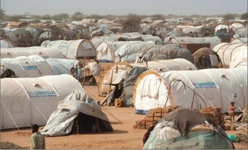 UN: Over 6,000 Flee Kenyan Refugee Camp Amid Deepening Aid Crisis