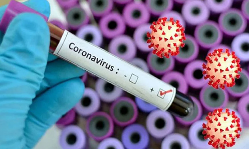 No new COVID-19 cases in last 24 hours