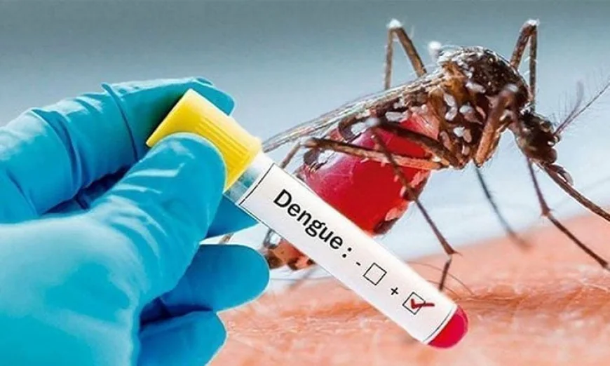 367 New Dengue Cases Reported in Last 24 Hours