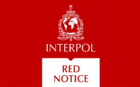 Red Notice Sought Against Owners of TNZ, Dard, Roar Fashion