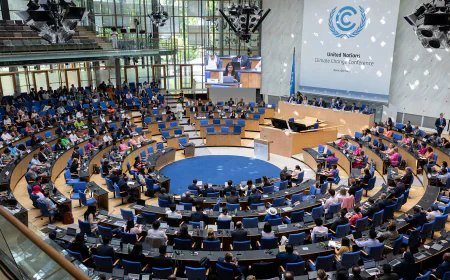 COP29 Presidency Marks Productive Two Weeks at Bonn Climate Conference