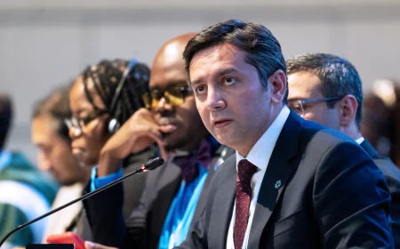 COP29 Presidency Facilitates Agenda Agreement at Bonn Climate Conference