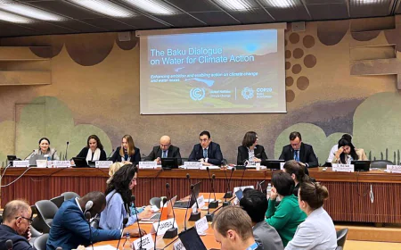 Geneva Briefing Spotlights COP29 Water for Climate Action Declaration
