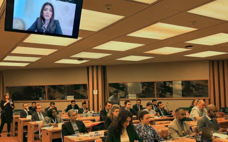 High-Level Briefing Advances COP29 Declaration on Green Digital Action