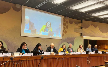 Briefing Showcases COP29 Declaration on Multisectoral Action Pathways for Resilient Cities