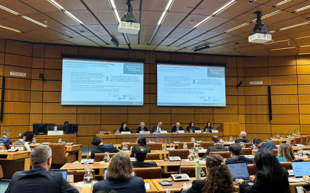 COP29 Presidency and UNIDO Host Briefing on Energy Initiatives and Pledges