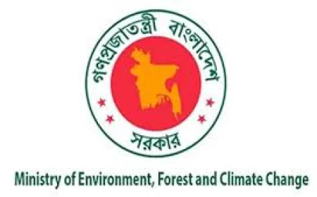 Three Committees Formed to Probe Criminal Cases Linked to July Uprising