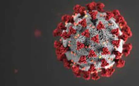 No New COVID-19 Cases Recorded in Past 24 Hours