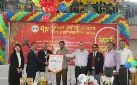 China Ambassador Cup Wushu Championship Kicks Off