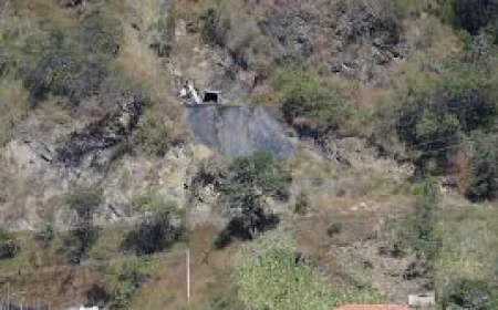 Seven Gold Miners Found Dead in Colombia