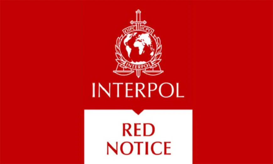 Red Notice Sought Against Owners of TNZ, Dard, Roar Fashion