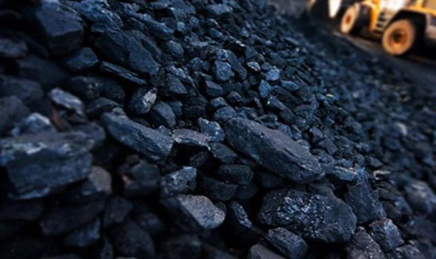 Colombia’s Coal Exports Collapse After Israel Sales Ban