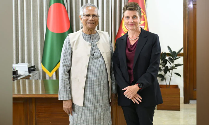 Chief Adviser, UN Resident Coordinator discuss polls; UN pledges support
