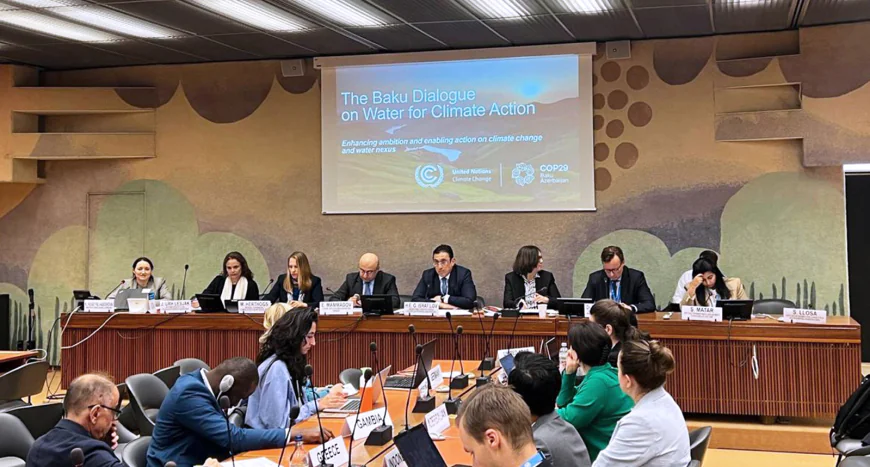 Geneva Briefing Spotlights COP29 Water for Climate Action Declaration