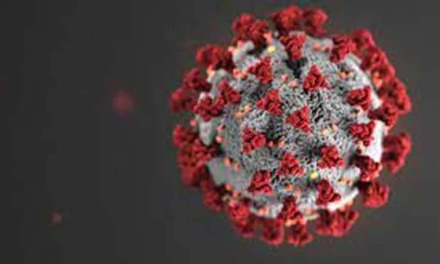 No New COVID-19 Cases Recorded in Past 24 Hours
