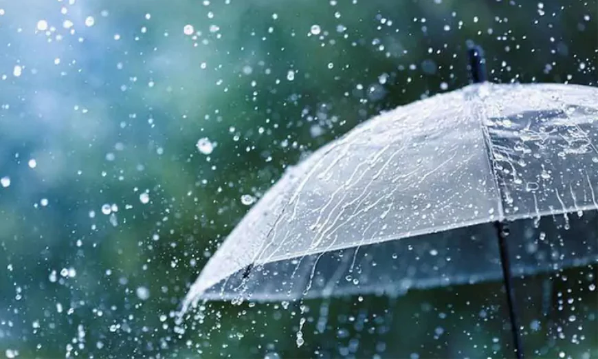Light to moderate rain or thundershowers expected