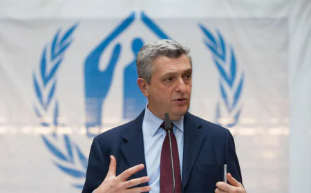 Solution to Rohingya Crisis Must Come from Myanmar: UNHCR Chief