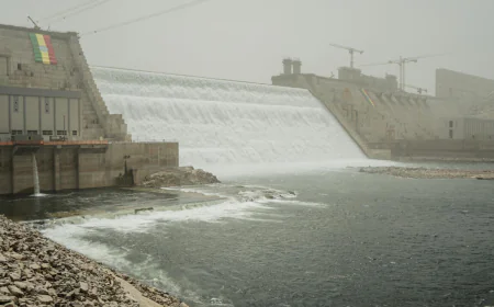 Ethiopia rejects Egypt’s ‘false’ claims over mega-dam