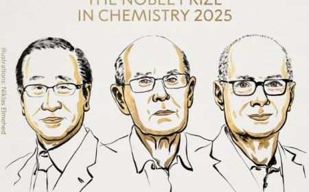 Trio wins Nobel Prize in Chemistry for pioneering new molecular architecture