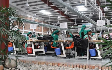 RMG Exports Grow 4.79% in July–September of FY26