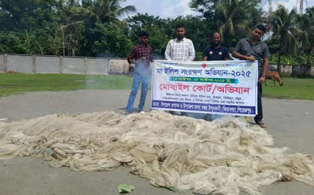 Banned Hilsa-Catching Nets Recovered and Destroyed in Pirojpur