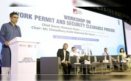 Govt Moves to Digitize Visa Fee Payments: BIDA Chief