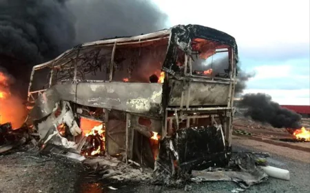 At Least 15 Killed in Brazil Road Accident Police