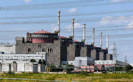 Repair Work Begins on Power Lines at Ukraine Nuclear Plant