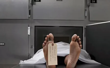 Three dead, 555 bitten by snakes in Chandpur over nine months