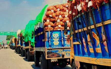 Bangladesh Ships 1,407 Tonnes of Potatoes to Nepal via Banglabandha