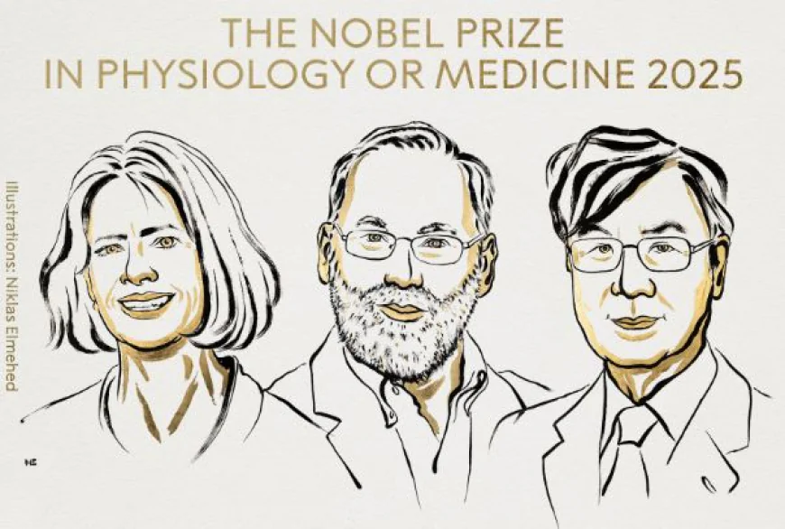 Nobel Prize in Medicine Awarded to Trio Who Uncovered Immune System ‘Security Guards’