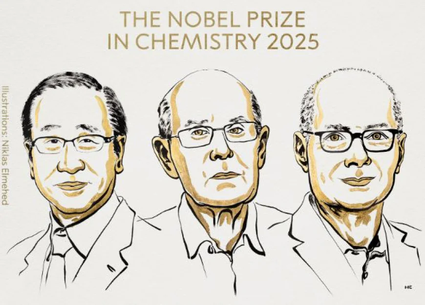 Trio wins Nobel Prize in Chemistry for pioneering new molecular architecture