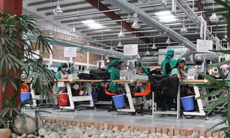 RMG Exports Grow 4.79% in July–September of FY26