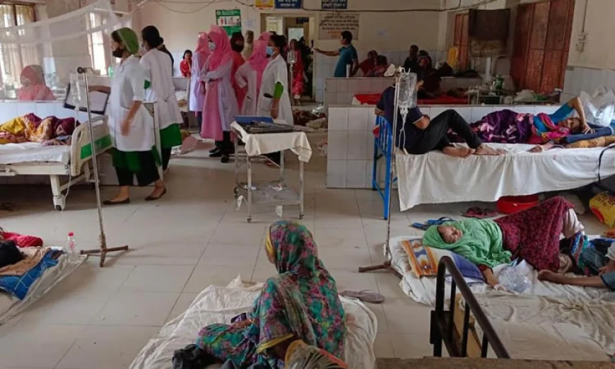 Rajoir Upazila Health Complex Faces Multiple Crises