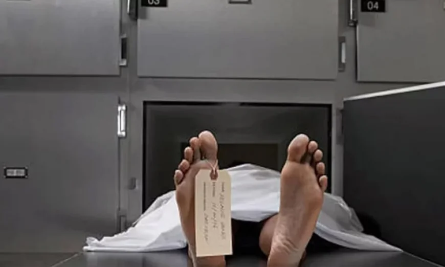 Three dead, 555 bitten by snakes in Chandpur over nine months