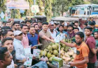 Chhatra Dal Holds Campaign for Tarique Rahman in Bogura