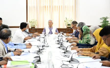 Comprehensive Approach for Environmentally Sustainable Transport System Development