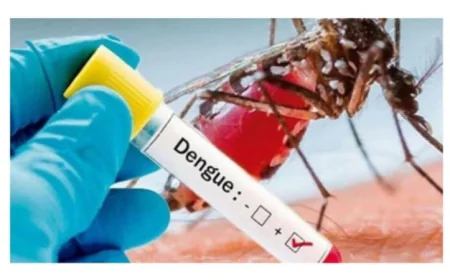 Five More Die of Dengue; 1,147 New Cases Reported Overnight