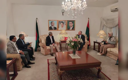 Egyptian envoy meets with Mirza Fakhrul