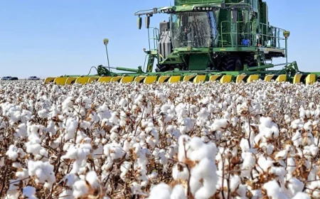 BGMEA, US cotton exporters seek closer ties in textile and apparel trade