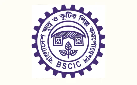 Women Entrepreneurs Thrive in Barishal’s Digital Growth