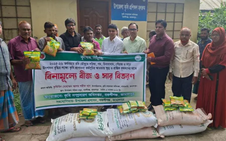 Incentive Distribution Begins Among 38,000 Farmers in Jamalpur