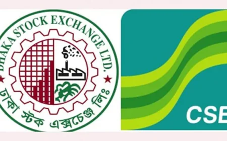 Price Fall in Large-Cap Stocks Drags Market Down