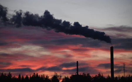Global Fossil Fuel Emissions Projected to Reach Record High in 2025: Study