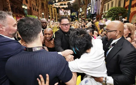 Singapore charges Australian man over Ariana Grande incident