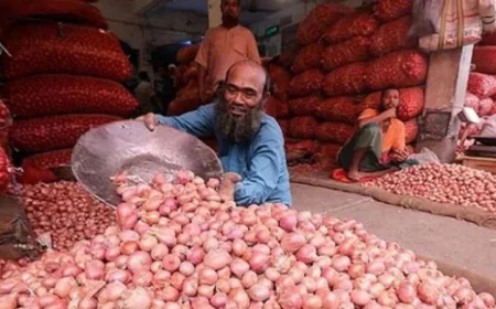 Onion Prices Drop in Dinajpur