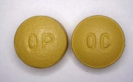 Purdue Pharma to Be Dissolved as US Judge Approves Bankruptcy