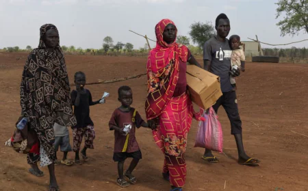 More Than Half of Sudan Needs Humanitarian Aid: NGO Chief